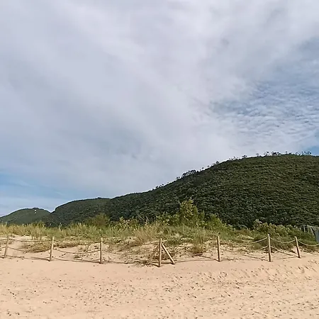 Piso En La Playa